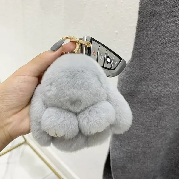 Cute Bunny