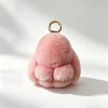Cute Bunny